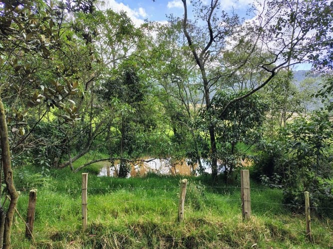 Lote en venta en San Jorge, Zipaquirá, 10000 m² · foto 9 de 21