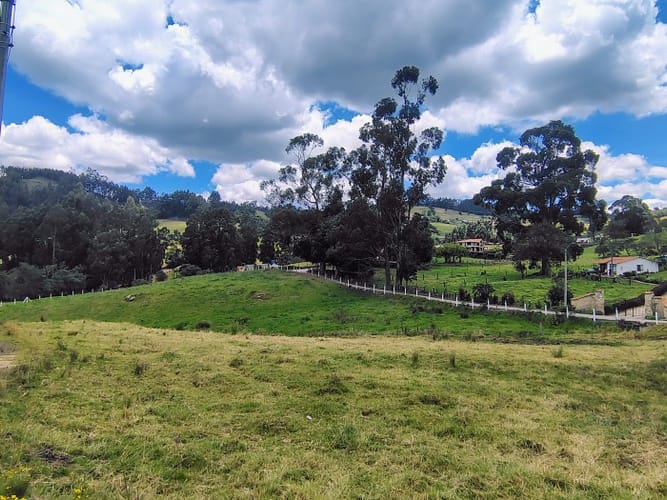 Lote en venta en San Jorge, Zipaquirá, 10000 m² · foto 13 de 21