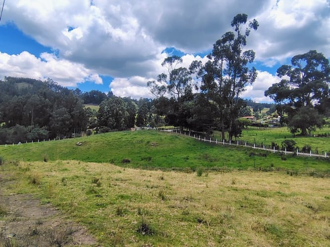 Lote en venta en San Jorge, Zipaquirá, 10000 m² · foto 14 de 21