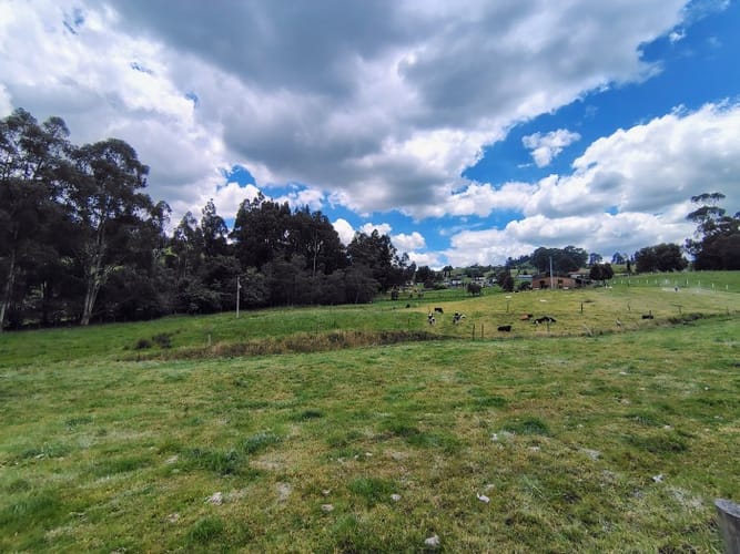Lote en venta en San Jorge, Zipaquirá, 10000 m² · foto 16 de 21