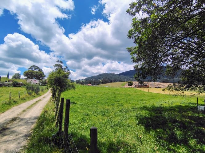 Lote en venta en San Jorge, Zipaquirá, 10000 m² · foto 18 de 21