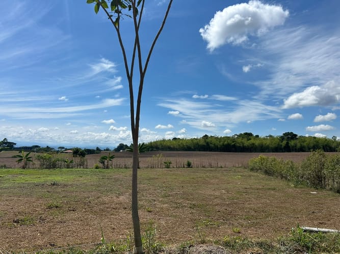 Lote en venta en Cerritos, Pereira, 1607 m² · foto 5 de 5