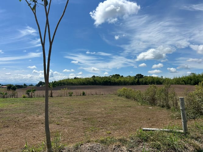 Lote en venta en Cerritos, Pereira, 1607 m² · foto 4 de 5