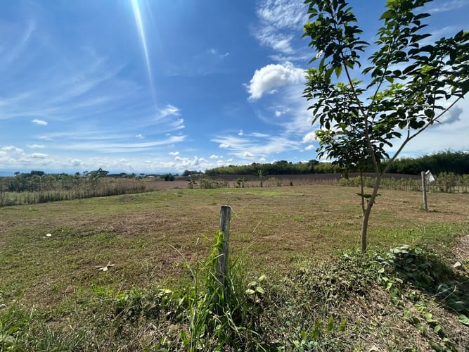Lote en venta en Cerritos, Pereira, 1607 m² · foto 2 de 5