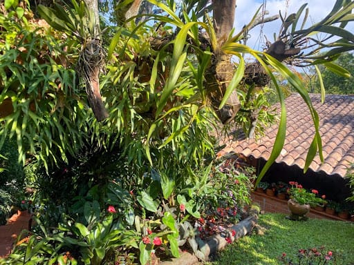 Casa de 3 alcobas en venta en Pan De Azucar, Sabaneta, 540 m² · foto 10 de 13