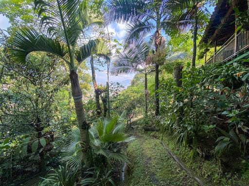 Casa de 3 alcobas en venta en Pan De Azucar, Sabaneta, 540 m² · foto 11 de 13