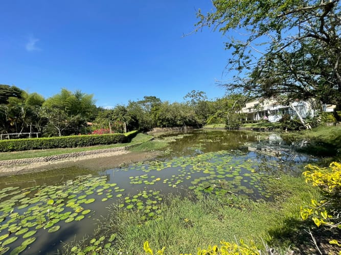 Casa de 4 alcobas en venta en Las Mercedes, Jamundí, 420 m² · foto 20 de 24