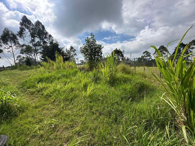 Lote en venta en El Roble, Armenia · foto 5 de 23