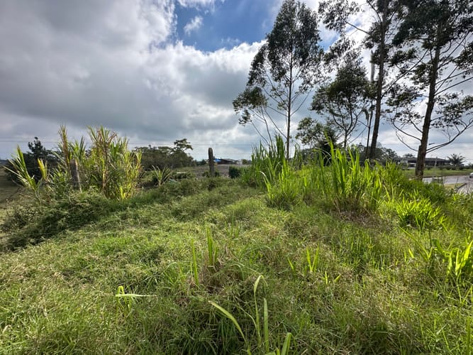 Lote en venta en El Roble, Armenia · foto 8 de 23