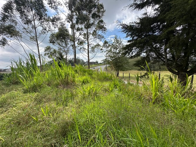 Lote en venta en El Roble, Armenia · foto 9 de 23