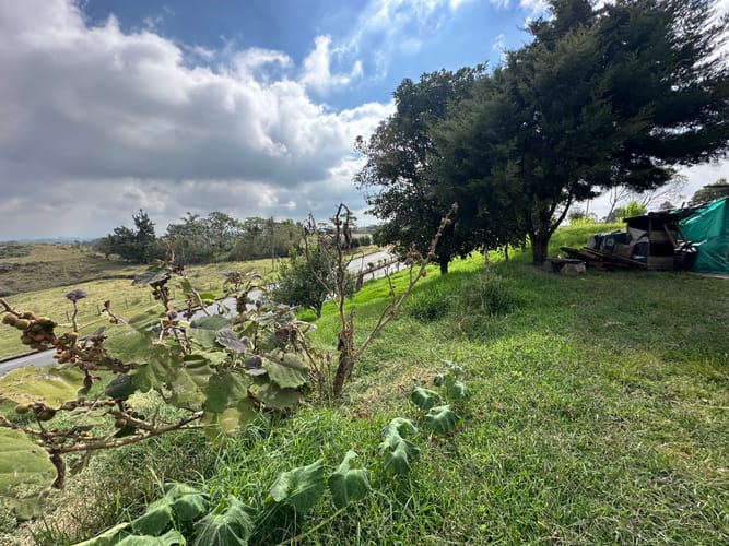 Lote en venta en El Roble, Armenia · foto 18 de 23