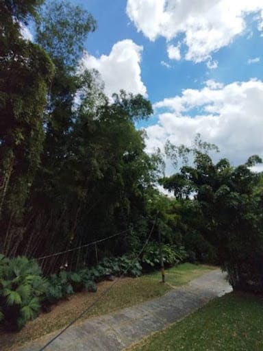 Finca en arriendo en El Salado, Envigado, 1360 m² · foto 14 de 24