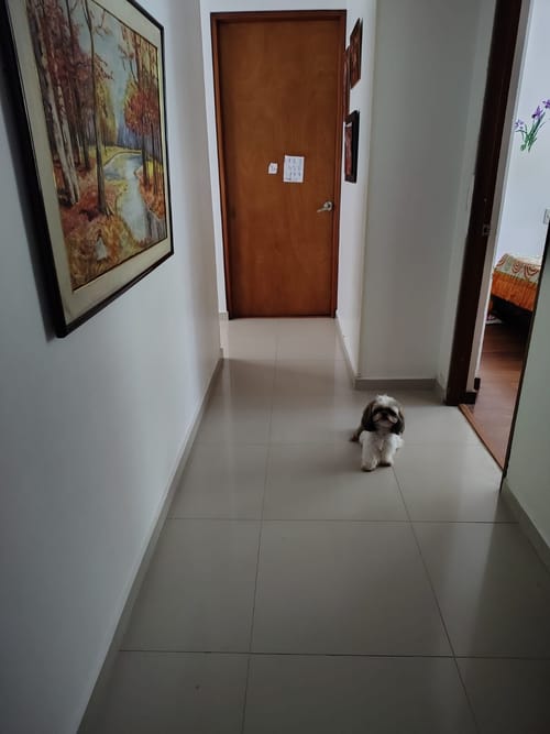 Apartamento de 3 alcobas en venta en Cabecera Del Llano, Bucaramanga, 130 m² · foto 12 de 20