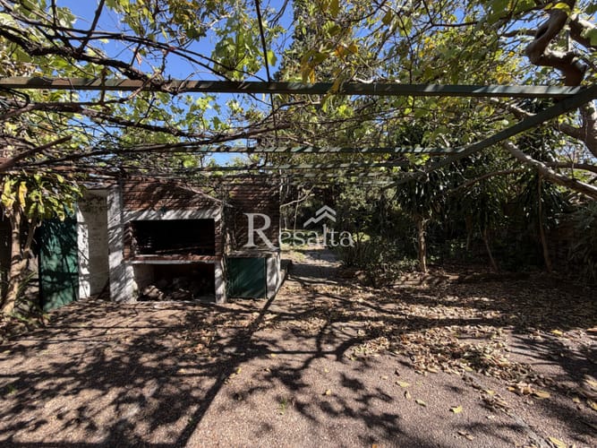 VENTA CASA 4 DORMITORIOS CON COCHERA Y GRAN JARDIN EN SALTO CENTRO - foto 3