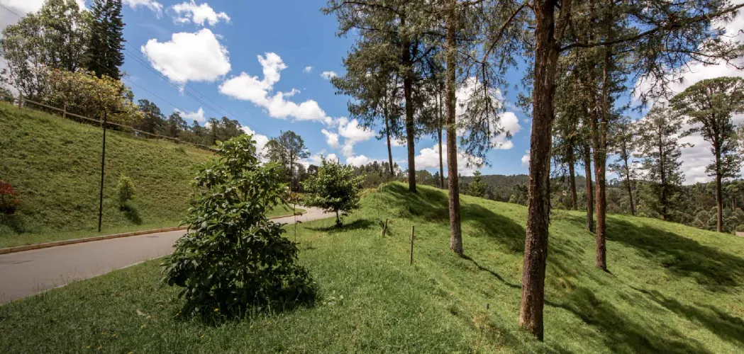 Lote en venta en El Chuscal, El Retiro, 7386 m² · foto 5 de 6