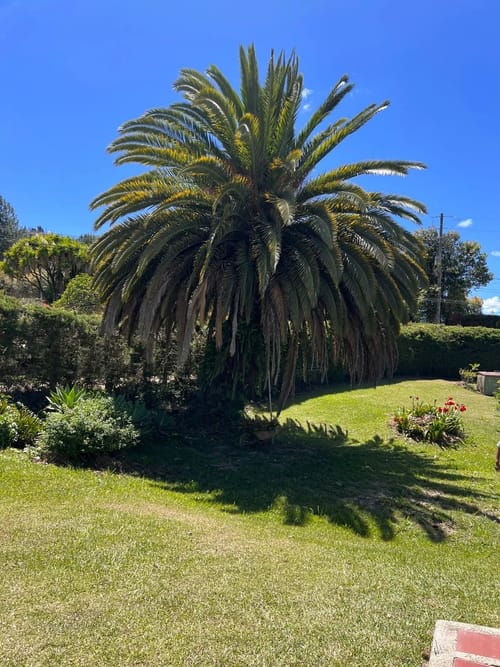 Finca en venta en La Brizuela, Guarne, 4200 m² · foto 6 de 10