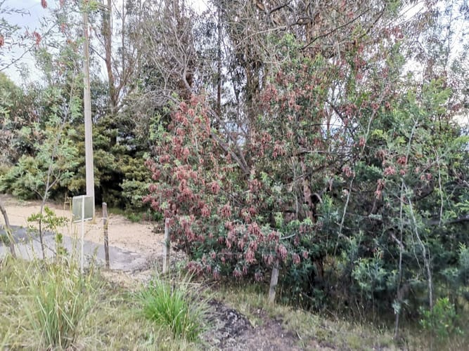 Lote en venta en Altos De Yerbabuena, Chía, 116 m² · foto 7 de 7