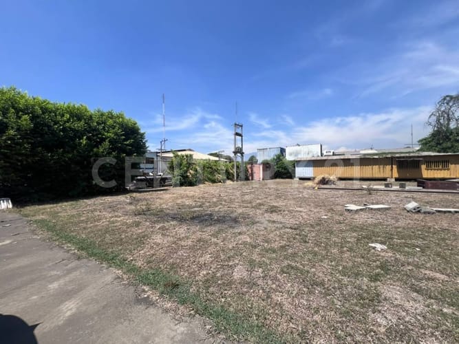 Lote en arriendo en La Dolores, Palmira, 45 m² · foto 10 de 18