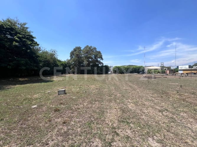Lote en arriendo en La Dolores, Palmira, 45 m² · foto 12 de 18