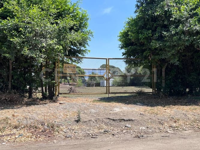 Lote en arriendo en La Dolores, Palmira, 45 m² · foto 17 de 18