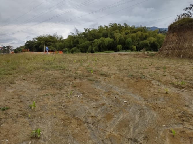 Lote en arriendo en Santana, Dosquebradas, 5700 m² · foto 2 de 19
