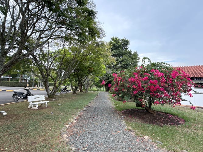 Lote en venta en Verde Horizonte, Jamundí, 1090 m² · foto 10 de 17