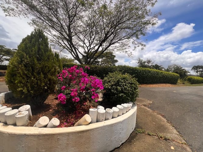 Lote en venta en La Morada, Jamundí · foto 12 de 22