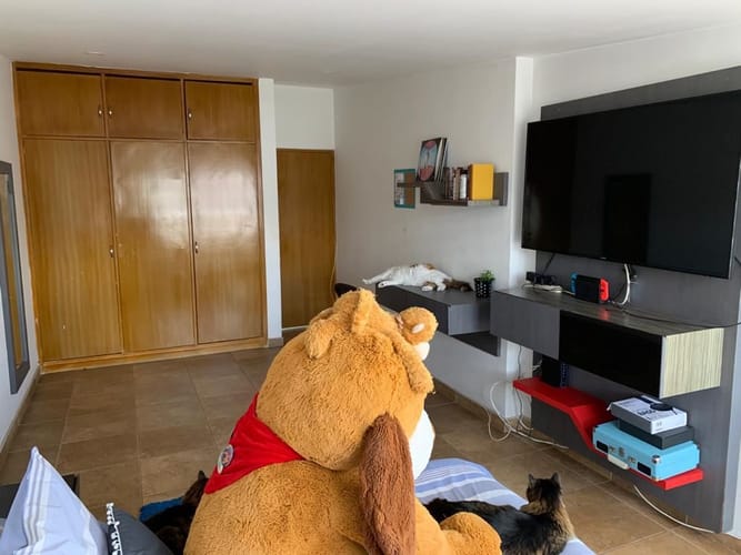 Casa de 4 alcobas en venta en Pontevedra, Bogotá, 490 m² · foto 3 de 20