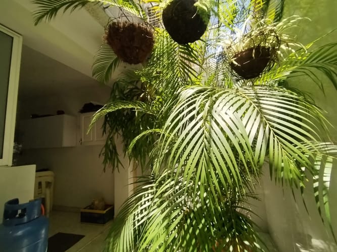 Casa de 4 alcobas en venta en Valle Del Lili, Cali, 220 m² · foto 15 de 23