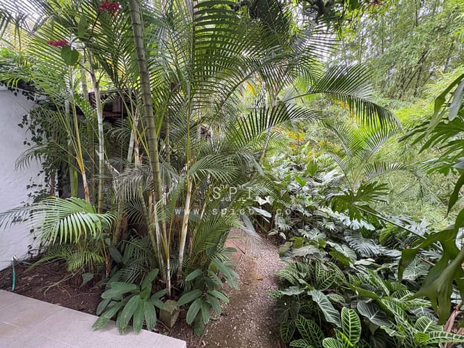 Casa de 7 alcobas en venta en Provenza, Medellín, 466 m² · foto 10 de 24