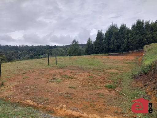 Lote en venta en San Isidro, Guarne, 2900 m² · foto 3 de 10
