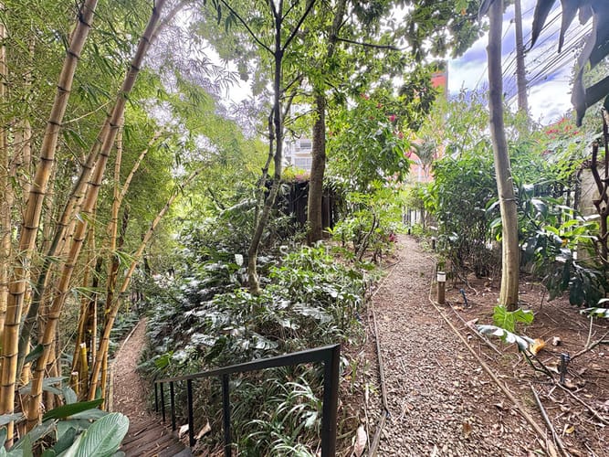 Casa de 7 alcobas en venta en Provenza, Medellín, 466 m² · foto 11 de 24