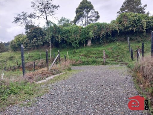 Lote en venta en San Isidro, Guarne, 2900 m² · foto 5 de 10