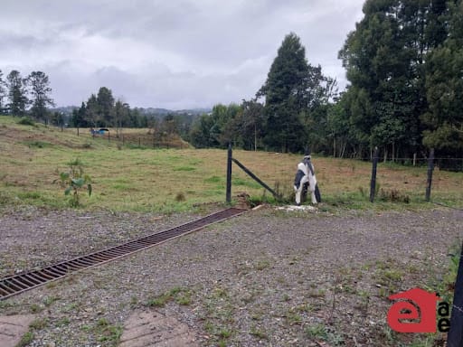Lote en venta en San Isidro, Guarne, 2900 m² · foto 7 de 10