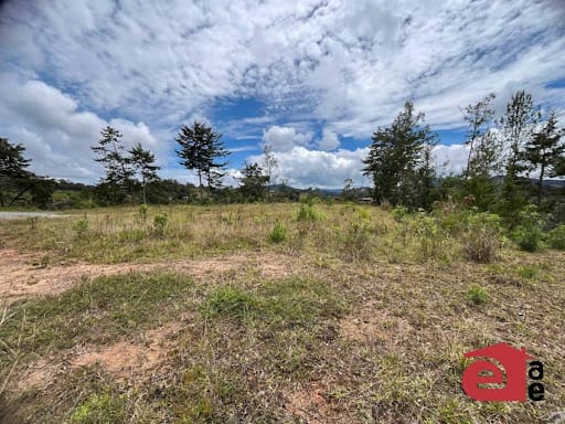 Lote en venta en El Retiro, 2402 m² · foto 6 de 20