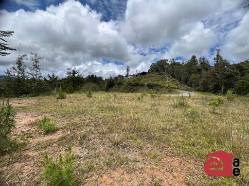 Lote en venta en El Retiro, 2402 m² · foto 8 de 20