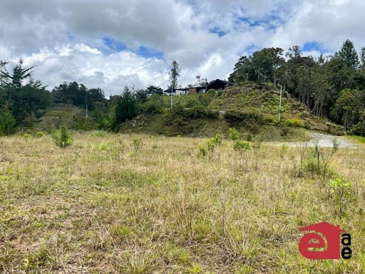 Lote en venta en El Retiro, 2402 m² · foto 9 de 20