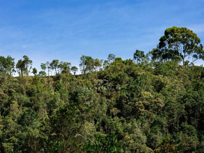 Lote en venta en Vía Las Palmas, Envigado, 2029 m² · foto 18 de 21