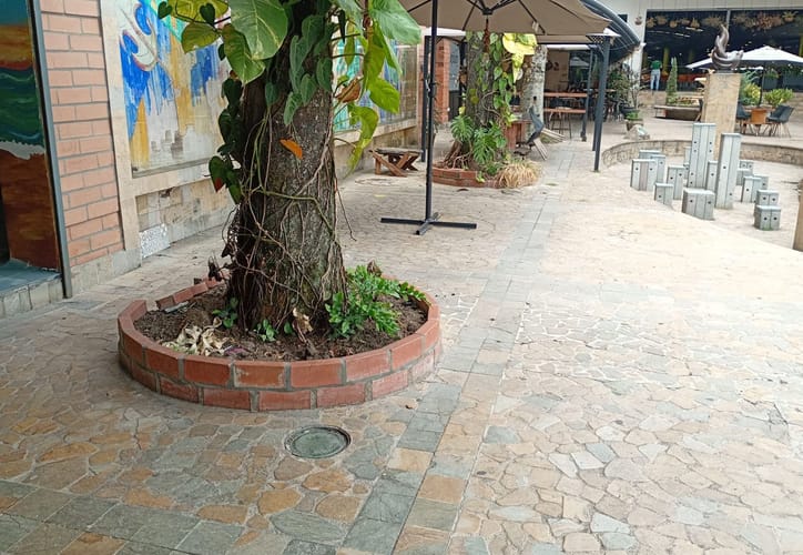 Local en arriendo en Aves Maria, Sabaneta, 50 m² · foto 10 de 10