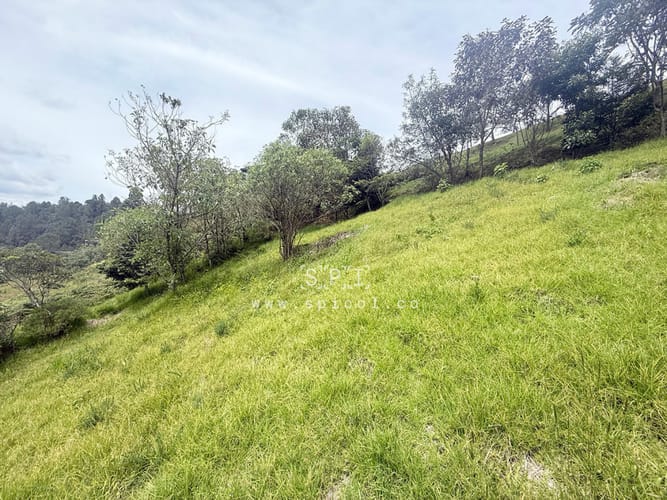 Lote en venta en Loma Del Escobero, Envigado, 2575 m² · foto 3 de 19