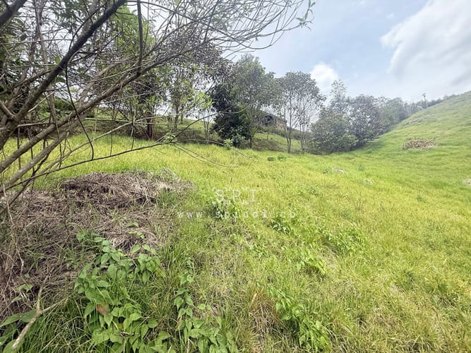Lote en venta en Loma Del Escobero, Envigado, 2575 m² · foto 8 de 19