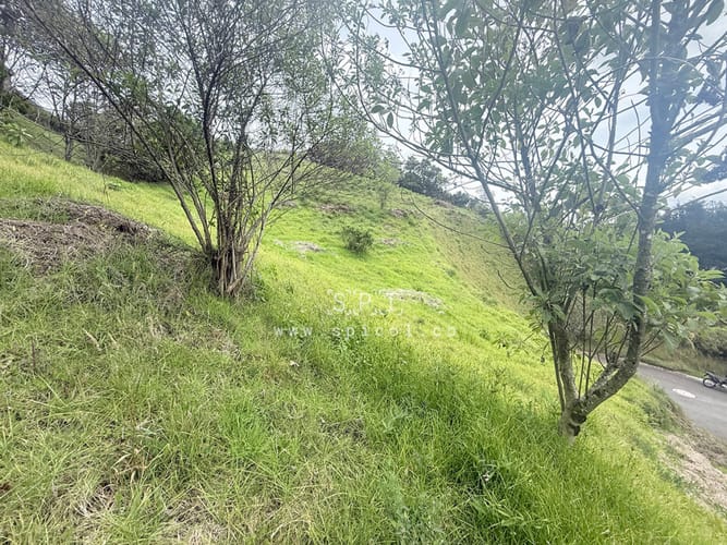 Lote en venta en Loma Del Escobero, Envigado, 2575 m² · foto 11 de 19