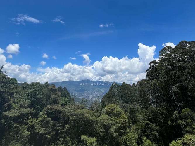 Lote en venta en Loma Del Chocho, Envigado, 3840 m² · foto 11 de 18