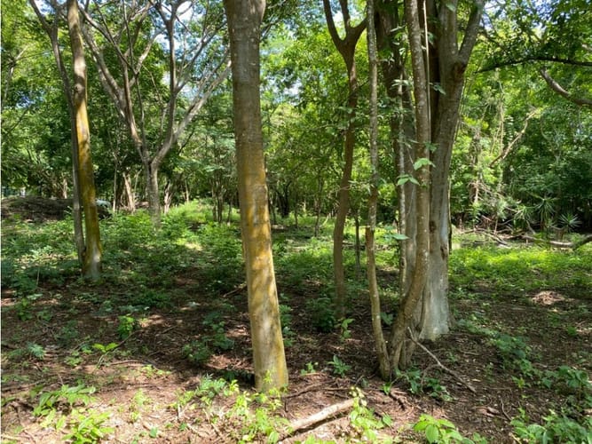 Lote en venta en Cartagena De Indias, Cartagena, 1000 m² · foto 2 de 14