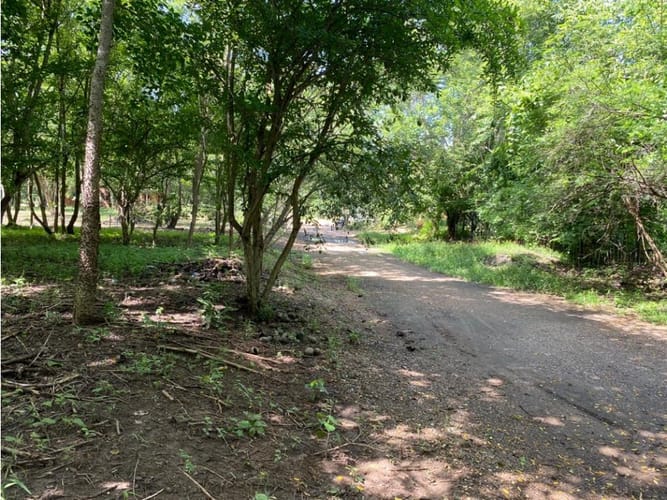 Lote en venta en Cartagena De Indias, Cartagena, 1000 m² · foto 3 de 14