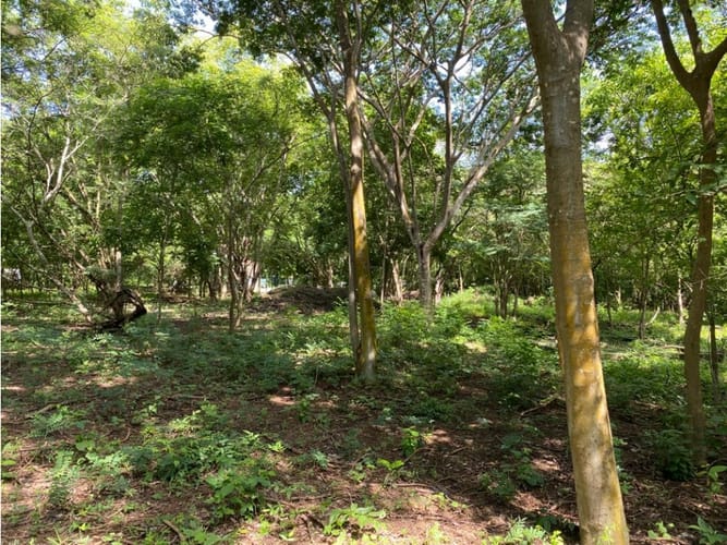 Lote en venta en Cartagena De Indias, Cartagena, 1000 m² · foto 5 de 14