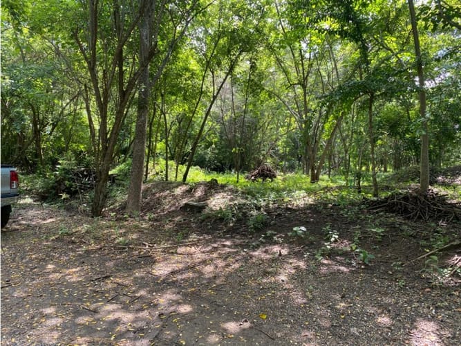 Lote en venta en Cartagena De Indias, Cartagena, 1000 m² · foto 6 de 14