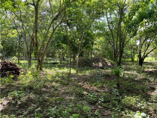 Lote en venta en Cartagena De Indias, Cartagena, 1000 m² · foto 7 de 14