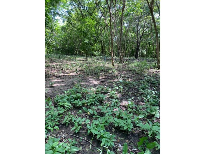 Lote en venta en Cartagena De Indias, Cartagena, 1000 m² · foto 9 de 14