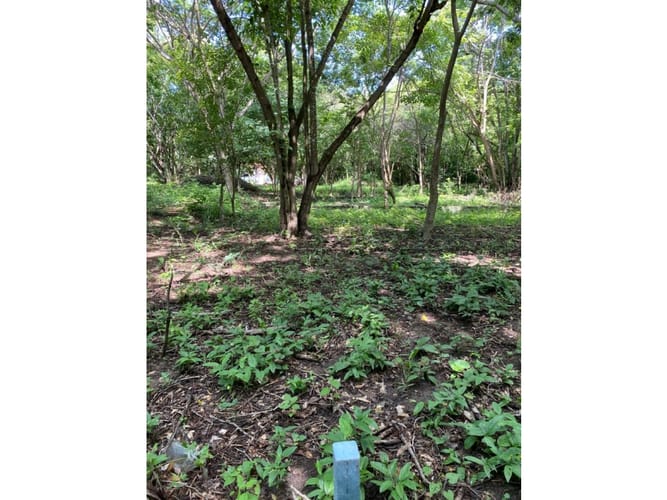 Lote en venta en Cartagena De Indias, Cartagena, 1000 m² · foto 10 de 14